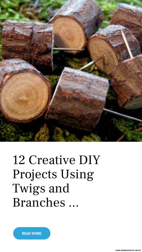 Twig And Branch Projects, Twigs Diy Craft Ideas, Natural Branch Decor, Diy With Tree Branches, Wood Branch Crafts, Branch Crafts Diy, Twig Furniture Diy, Branch Art Diy, Twig Crafts Branches Sticks Diy Ideas