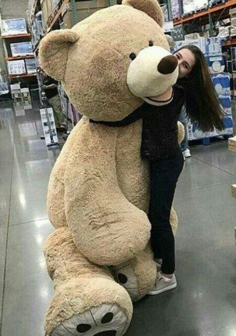 Big Tady Bear, Tady Bear, Big Stuffed Bear, Jumbo Teddy Bear, Aesthetic Bear, Huge Teddy Bears, Big Teddy Bear, Big Teddy, Giant Teddy Bear