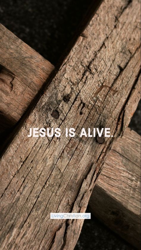 #Jesus #heisrisen Jesus Is Alive Wallpaper, He Is Alive Jesus, Bible Photos, Jesus Is Alive, Spiritual Formation, Bible Journal Notes, Word Of Faith, In Christ Alone, Jesus Lives