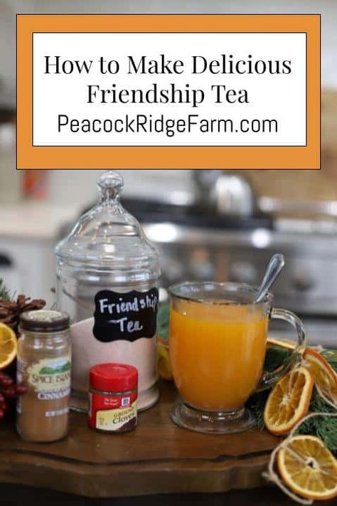 Friendship Tea Mix Recipe, Friendship Tea, Friendship Tea Recipe, Holiday Hot Cocoa Bar, Autumn Tea Party, Lipton Tea, Winter Salad Recipes, Hot Drinks Recipes, Winter Fruit