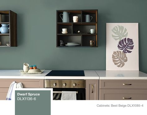 Dulux Kitchen Cabinets Paint Colors, Dulux Kitchen Paint Colour, Kitchen Paint Ideas Walls Colour Schemes, Dulux Kitchen Paint, Kitchen Paint Color Ideas, Dulux Colour Schemes, Paint Colour Ideas, Kitchen Paint Color, Kitchen Color Combos