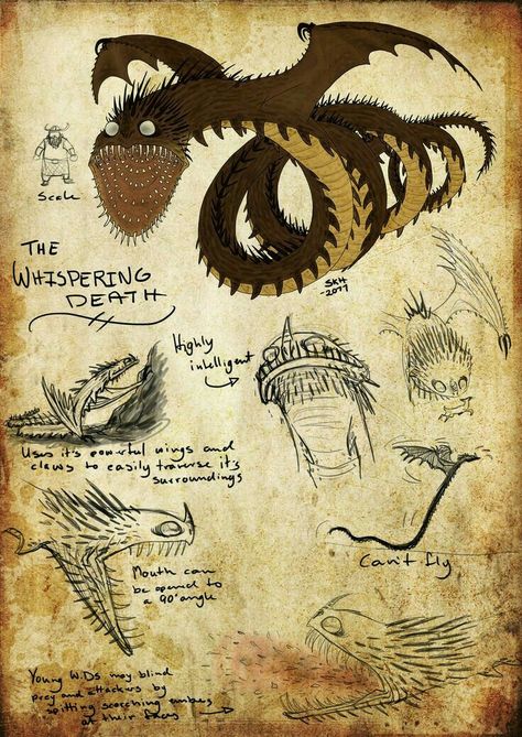 Morte Httyd Art, Dreamworks Dragons, Dragon Sketch, Httyd Dragons, Dragon Trainer, Dragon Rider, Train Your Dragon, Mythical Creatures Art, Dragon Drawing