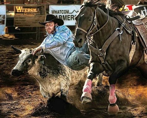 Rodeo : Steer Wrestling / Bulldogging Horse Appaloosa, Steer Wrestling, Pole Bending, Saddle Bronc, Rodeo Time, Cow Horse, Rodeo Cowboys, Rodeo Horses, Team Roping