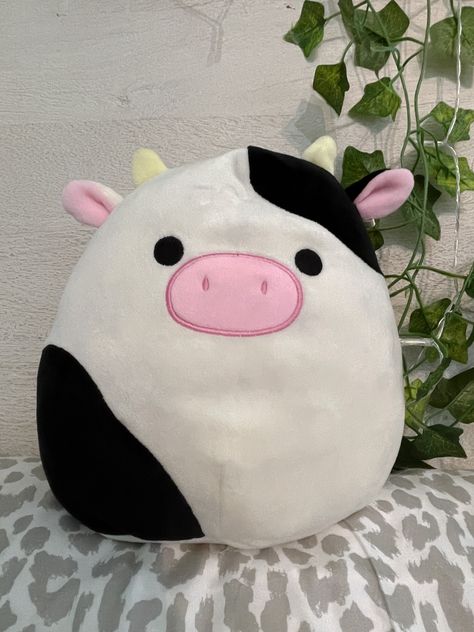 White Squishmallow, Cow Black And White, Cow Squishmallow, Cute Squishies, Iphone Cases Cute, Kawaii Plushies, The Cow, My Darling, Cute Pillows