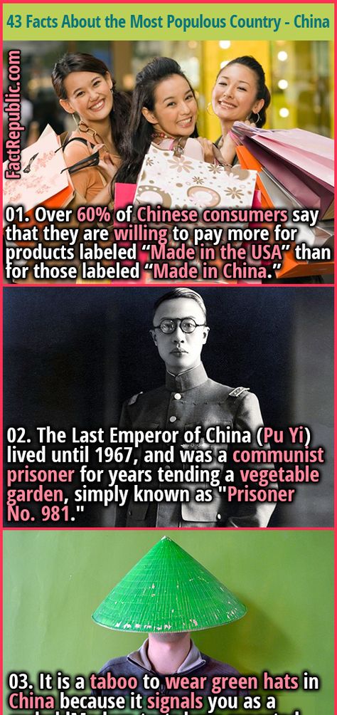 Facts About China, Last Emperor Of China, China Facts, Amtrak Travel, Fake True, Forgotten History, Basic Computer Programming, China Language, Basic Computer