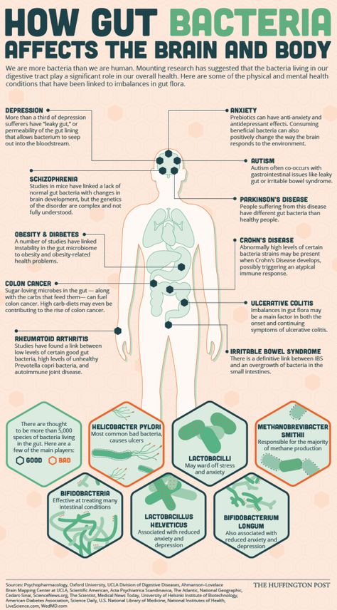 Gut and Brain Connection - Healing Hands Chiropractic Manchester, NH | Health, Gut bacteria, Seasonal allergies #Gut_Healing_Diet #Endocannabinoid_System #Gut_Flora #Coconut_Health_Benefits Gut Healing Diet, Endocannabinoid System, Gut Flora, Brain Connections, Gut Bacteria, Coconut Health Benefits, Seasonal Allergies, Improve Focus, Healing Hands