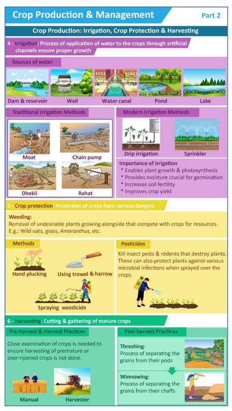 Crop Production And Management, Irrigation Methods, Water Dam, Crop Protection, Crop Production, Biology Notes, Drip Irrigation, Water Well, Photosynthesis