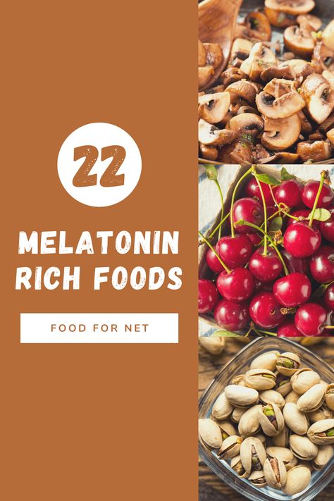 These foods all contain melatonin, which makes them perfect for helping to improve your sleep. They all offer other important compounds too. #melatonin #sleep Melatonin Foods Sleep, Foods High In Melatonin, Melatonin Rich Foods Sleep, Natural Melatonin For Kids, Melatonin Rich Foods, Melatonin Foods, Vitamin D Foods, Food For Sleep, Tart Cherry Juice