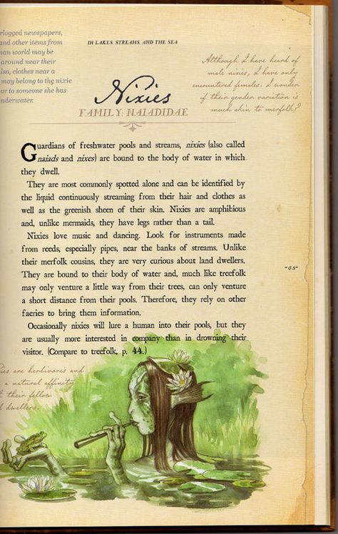 This is what's written in Arthur Spiderwick's Field Guide to the Fantastical World Around You... Arthur Spiderwick, Mallory Grace, Magical Creatures Mythology, The Spiderwick Chronicles, Mystical Creatures Mythology, Fantasy Creatures Mythology, Tony Diterlizzi, Spiderwick Chronicles, Myths & Monsters