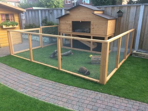 Outside Rabbit Enclosure Ideas, Rabbit Cage Ideas Outdoor, Rabbit Pen Outdoor, Bunny Cages Outdoor, Rabbit Run Ideas, Rabbit Enclosure Outdoor, Bunny House Outdoor, Rabbit House Outdoor, Rabbit Hutch Ideas