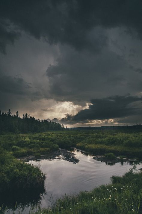 Pond Images, Pond Pictures, Grass Picture, Grey Nature, Dream Landscape, Cloud Island, Water House, Water Boat, Magic City