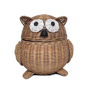 Storage Basket With Lid, Storage Baskets With Lids, Brown Owl, Basket Diy, Rattan Storage, Lidded Baskets, Basket With Lid, Shelf Organizer, Brown Hand