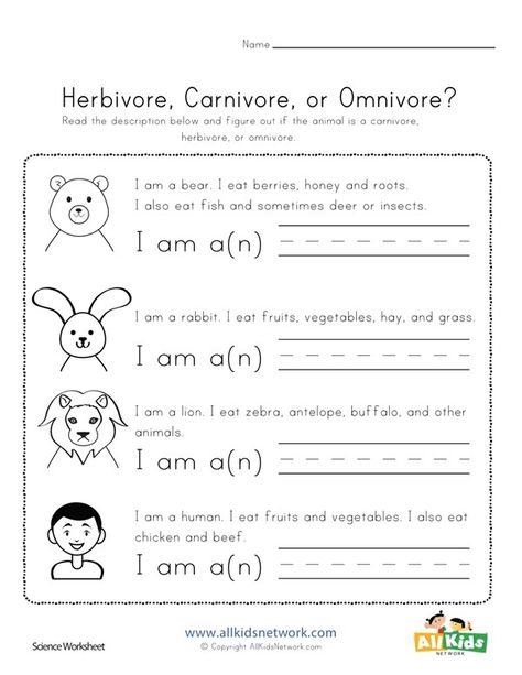 Herbivore Carnivore or Omnivore? | All Kids Network Carnivorous Animals For Kids, Carnivore Animals, Carnivore And Herbivore Activities, Carnivore Herbivore Omnivore Worksheets, Herbivore Carnivore Omnivore Activities, Omnivore Carnivore Herbivore Worksheet, Herbivores Animals Worksheet, Carnivores Herbivores Omnivores, Omnivorous Animals