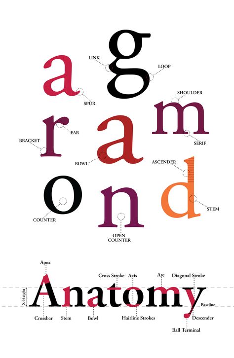 Garamond Pro Anatomy of Typography - Poster Design on Behance Typography Infographic Design, Typefaces Typography, Typographical Poster, Typeface Poster Design, Anatomy Of Type, Garamond Poster, Type Anatomy Poster, Typography Anatomy, Anatomy Of Type Poster