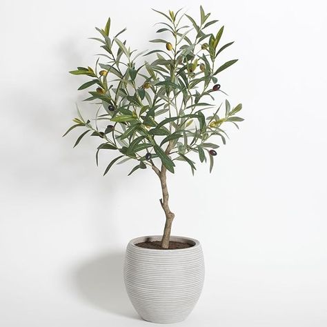 Amazon.com: CG Hunter Olive Topiary Tree, Premium Artificial Indoor Plant Stands 34” Tall, Lifelike-Leaves and Hand Painted Trunk Create Realistic Appearance, Grey Planter Pot Included : Home & Kitchen Indoor Plant Stands, Artificial Indoor Plants, Olive Plant, Painted Trunk, Gray Planter, Topiary Tree, Container Dimensions, Faux Olive Tree, Topiary Trees