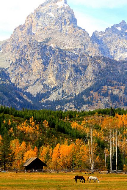 Grand Teton National Park; photo by .Patrick Brusil Autumn Colors, Places Around The World, Scuba Diving, Vacation Spots, Snorkeling, Wyoming, Beautiful World, Beautiful Landscapes, Wonders Of The World