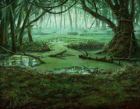 1000+ ideas about Swamp Water on Pinterest | Ice, Water and Long ... Swamp Wallpaper, Okefenokee Swamp, Forgotten Realms, Digital Art Gallery, Landscape Concept, Fantasy Setting, Fantasy Places, Fantasy Art Landscapes, Arte Fantasy