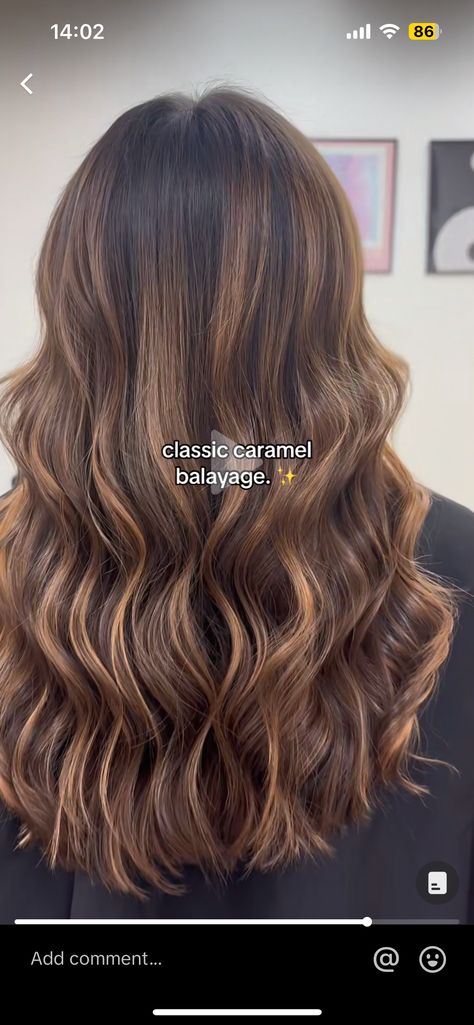 Warm Walnut Balayage, Natural Dark Brown Hair With Highlights, Hazelnut Highlights, Brown Sugar Brunette Balayage, Light Brown Hair With Subtle Highlights, Brunnete Blonde Highlight, Warm Brown Highlights, Sunkissed Hair Brunette Dark, No Bleach Balayage Dark Hair