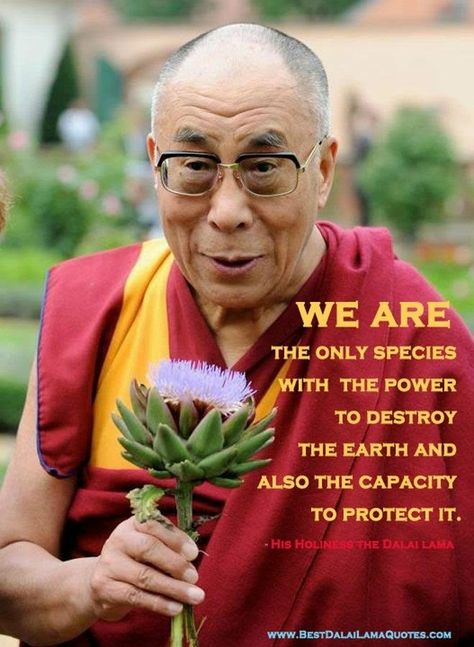 Dalai Lama Quotes, Earth Quotes, 14th Dalai Lama, Save Our Earth, Buddhism Quote, Buddhist Quotes, Buddha Quotes, Dalai Lama, Save Earth