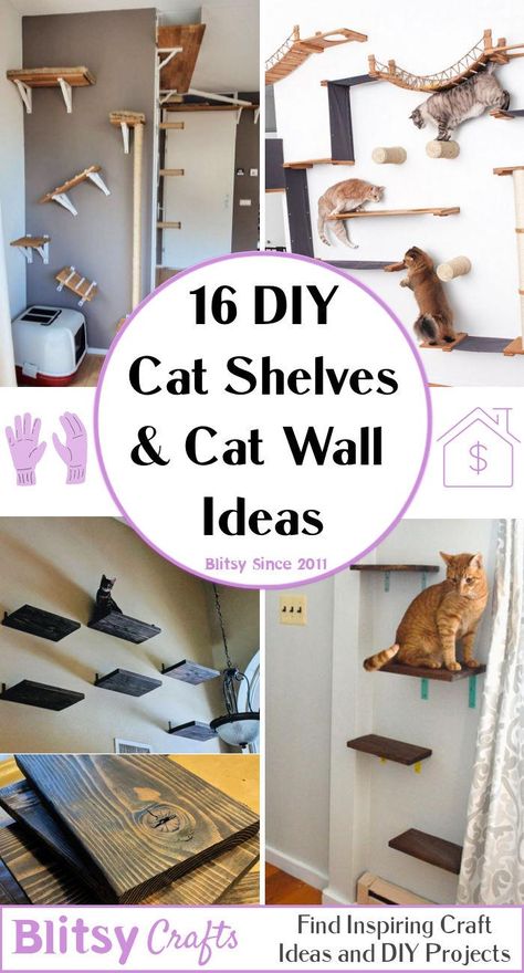 16 Creative DIY Cat Shelves and Cat Wall Ideas - Blitsy Pallet Projects For Cats, Cat Room Shelves, Cat Scratching Post Wall, Indoor Cat Shelves, Cat Wall Diy Cheap, Easy Cat Shelves Diy, Diy Cat Wall Shelves Small Spaces, Cat Wall Small Space, Wall Playground For Cats