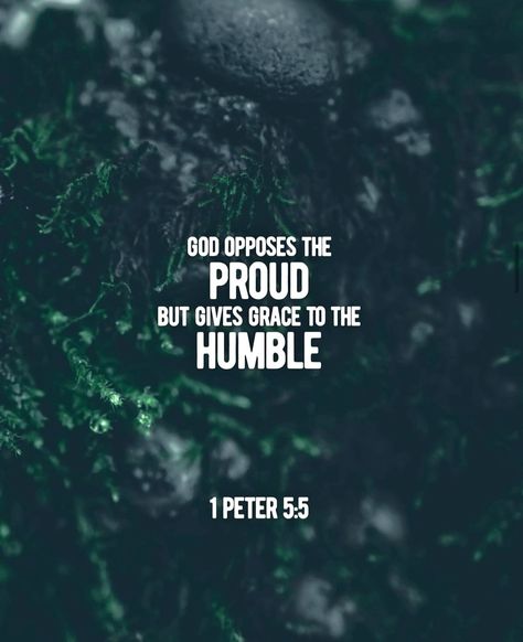 God opposes the proud, but gives grace to the humble. -1 Peter 5:5 1 Peter 5, 1 Peter, Abba, Verses, Bible Verses, Bible