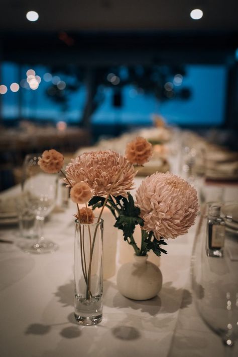 Chrysanthemum Wedding Decoration, Chrysanthemum Wedding Flowers, Neutral Floral Arrangements, Affordable Flower Arrangements, Oct Wedding, Wedding Flower Arrangements Table, Chrysanthemum Wedding, Wedding Neutral, Wedding Marquee