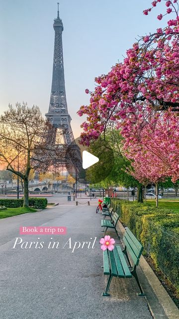 Ophélie Schaffar / Travel Blogger on Instagram: "This is the reason why you should visit Paris in April 🌸  The cherry blossom season in Paris is magical 😍! Are you planning to come to Paris in spring this year?   All you need to know about cherry blossom season in Paris: 🗓️ Dates: very end of March / Beginning of April 🌸 Blooming season lasts around 2 weeks 🌧️ Blooming season can vary depending on the weather  🌹 Lots of different flowers are blooming in Paris in spring: magnolias, wisteria, roses… from end of February to May  ❄️ It can be very cold in Paris in spring (freezing temperatures are possible in the morning) so come with warm clothes and wear layers!  🌸 More info in my dedicated articles about Spring in Paris and the best places to see Cherry Blossoms in Paris  Featuring Paris In April, Paris In Spring, Spring In Paris, Cherry Blossom Season, Visit Paris, Different Flowers, Warm Outfits, Wisteria, Cherry Blossom