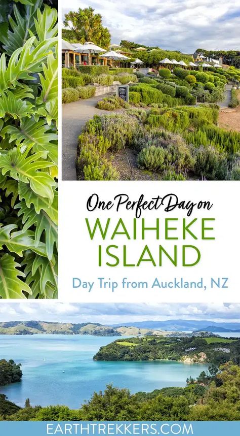 How to spend one perfect day on Waiheke Island. In this guide, learn how to plan a Waiheke Island day trip from Auckland, New Zealand. We cover the best things to do, how to get here, where to eat, and how to plan your time. Earth Trekkers, It Photos, Waiheke Island, Travel Inspiration Destinations, Is It Worth It, Travel Spots, Auckland New Zealand, New Zealand Travel, Amazing Travel