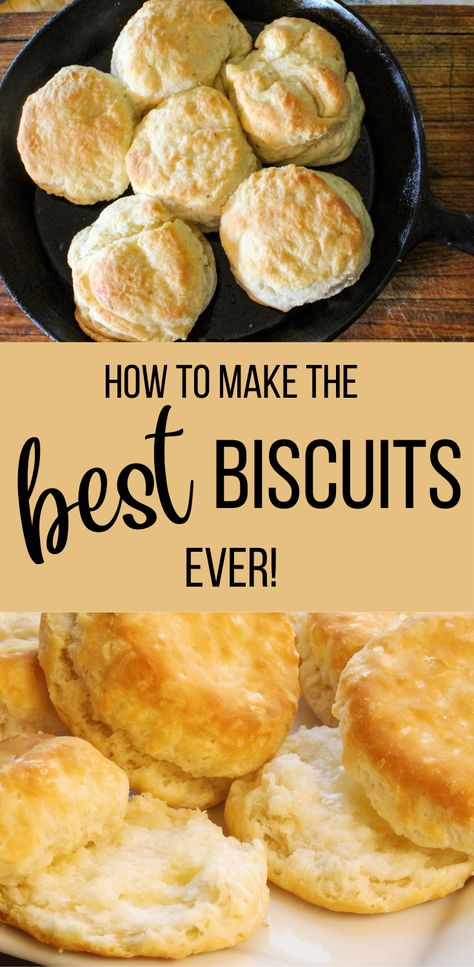 Homemade Buiscits Recipes, Homemade Buscuits, All Purpose Flour Recipes, Best Buttermilk Biscuits, Buttermilk Biscuits Easy, Biscuits Homemade, Make Buttermilk, Best Biscuits, Easy Homemade Biscuits