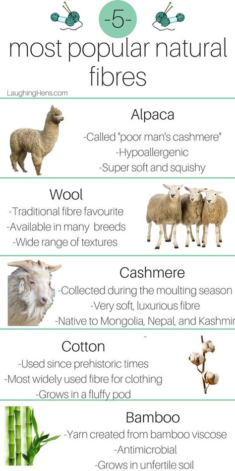 What's the difference between alpaca and wool? Learn why different fibres matter at LaughingHens.com Fire Alpaca Tips, Sheep Wool Uses, Fiber Farm, Sheep Breeds For Wool, How To Process Alpaca Fiber, Alpaca Facts, Spinning Yarn Fiber, Natural Dye Fabric, Spinning Wool