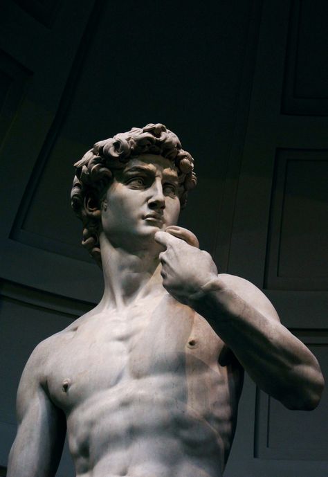 Michaelangelo David Aesthetic, Michelangelo Tattoo, David Michelangelo, White Aesthetic Photography, David Tattoo, Ancient Greek Sculpture, Greek Statues, Rennaissance Art, Arte Van Gogh