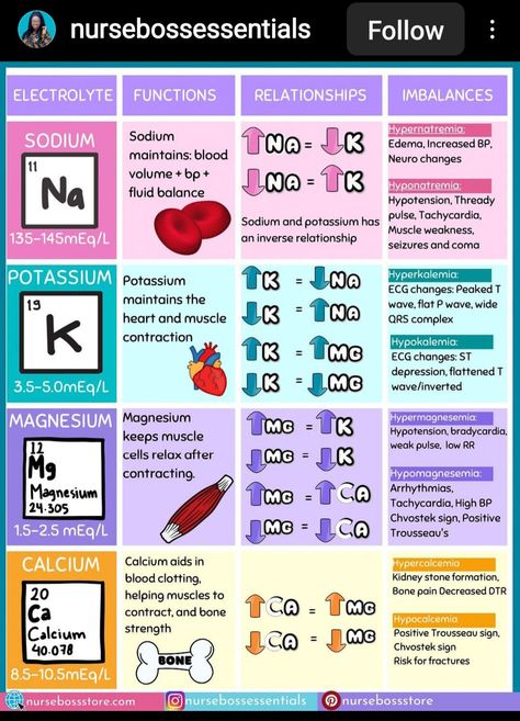 Pharmacology Nursing Study, Nursing School Studying Cheat Sheets, Nursing School Essential, Nursing Study Guide, Nursing School Motivation, Medical School Life, Basic Anatomy And Physiology, Nurse Study Notes, Nursing Mnemonics