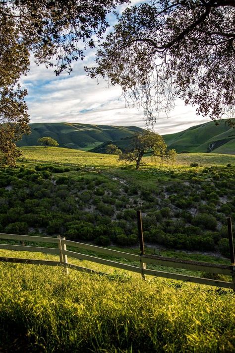 Holman Ranch - This ranch in California looks like a dream! Gorgeous place and the photos are breathtaking! Thank you for pinning. Coastal Cowboy, 10 Year Plan, Napa Valley Wineries, California Ranch, Sonoma California, Cave Tours, Valley Road, Carmel Valley, California Coastal