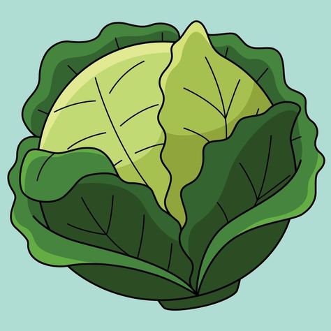 Cabbage Drawing, Cabbage Cartoon, Cabbage Illustration, Marriage Biodata Format, Cabbage Vegetable, Cabbage Flowers, Bio Data For Marriage, Biodata Format, Vegetable Cartoon