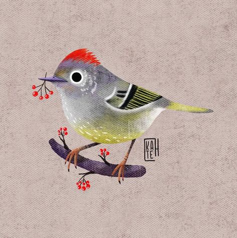 Day 9 of #birdtober2024 - Ruby-crowned kinglet ♥️ Cool fact: it's is a tiny bird that lays a very large clutch of eggs—there can be up to 12 in a single nest. Although the eggs themselves weigh only about a fiftieth of an ounce, an entire clutch can weigh as much as the female herself. Hosted by @aholmesartstudio #illustration #illustrator #kidlit #kidlitillustration #childrensbookillustration #procreateillustration #procreateart #birdart #drawings #drawing #sketch #digitalaer #sketchbook #... Nest Illustration, Bird Illustrations, Tiny Bird, Large Clutch, Bird Watcher, Art Prompts, Bird Illustration, Children's Book Illustration, Drawing Sketch