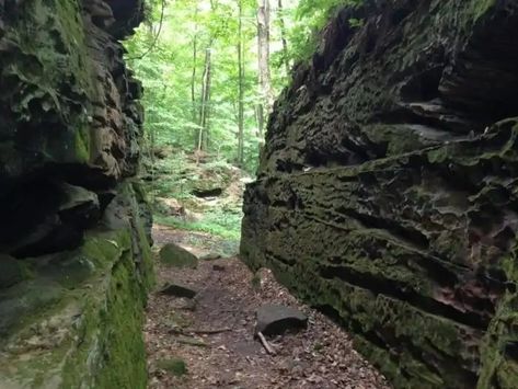 Hike Through Ohio’s Rock Maze For An Adventure Like No Other Cleveland Metroparks, Face Carving, Nature Hikes, Northeast Ohio, Spa Treatments, National Forest, Another World, Ohio State, Day Trip