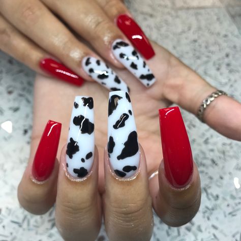 Acrylic coffin cow nails Red And Black Cow Print Nails, Red Cow Print Nails Acrylic, Red Punchy Nails, Cow Print Nails With Red, Red Nails With Cow Print, Cute Red Nails Acrylic Coffin Short, Red Country Nails, Red Cow Nails, Red Cow Print Nails