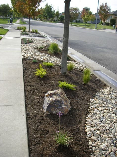 Front Parkway Sidewalk Landscaping, Xeriscape Front Yard, Water Wise Landscaping, Front Garden Landscape, Front Landscaping, Lawn And Landscape, Rock Garden Landscaping, Home Landscaping, Garden Yard Ideas