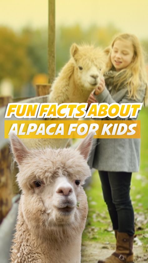 Alpaca Facts, Strongest Animal, Some Interesting Facts, Trivia Facts, Facts You Didnt Know, Facts For Kids, Alpaca Fiber, Work With Animals, Fact Sheet