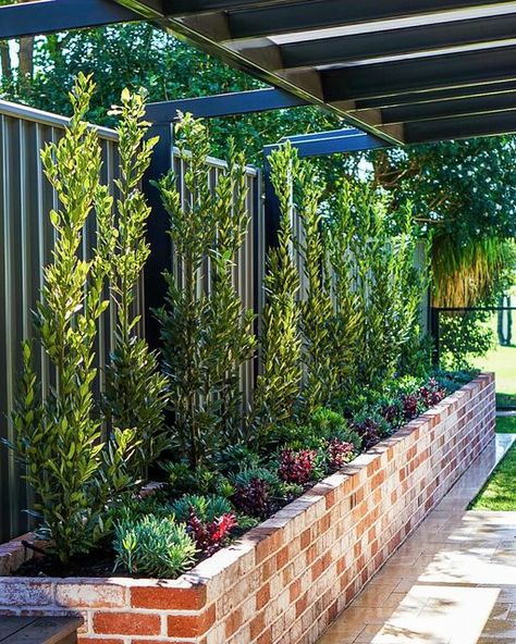 Verge • Garden Design • Landscapes • Garden Centre | Perths Ultimate Softscape Solutions🔥🔥 - Angelo St, South Perth Project:  Two beautiful, recycled brick garden beds, completely Designed,... | Instagram Recycled Brick Landscaping, Recycled Brick Garden Bed, Brick Bbq Area, Brick Garden Bed, Archway Garden, Verge Garden, Creating A Garden, Brick Planter, Brick Bbq