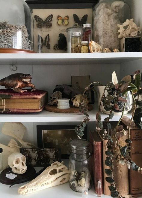 Goblincore Room Ideas | The Other Aesthetic Corvidcore Room, Modern Witch House, Ivy Core, Goblincore Bedroom, Dark Academia Room Ideas, Goblincore Room, Academia Bedroom, Dark Academia Room, Academia Room