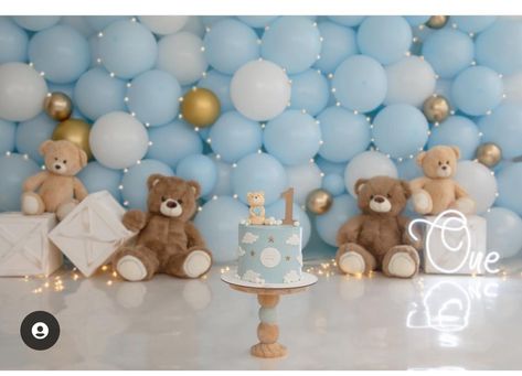 Teddy Bear 1st Birthday Photoshoot, Teddy Bear Theme Cake Smash, Bear Themed Cake Smash, Cake Smash Photos Boy, Teddy Bear Theme Party 1st Birthdays Blue, Cookie Monster Smash Cake Pictures, Cookie Monster Cake Smash Photography, Christmas Mini Shoot, Baby Boy Birthday Themes