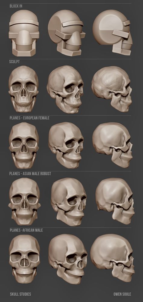 Skulls Drawing Reference, How To Sculpt A Skull, 3d Skull Art, Skull Sculpture Art, Skull Turnaround, Skull Art Reference, Skull Reference Anatomy, Simplified Skull, Skull Reference Drawing