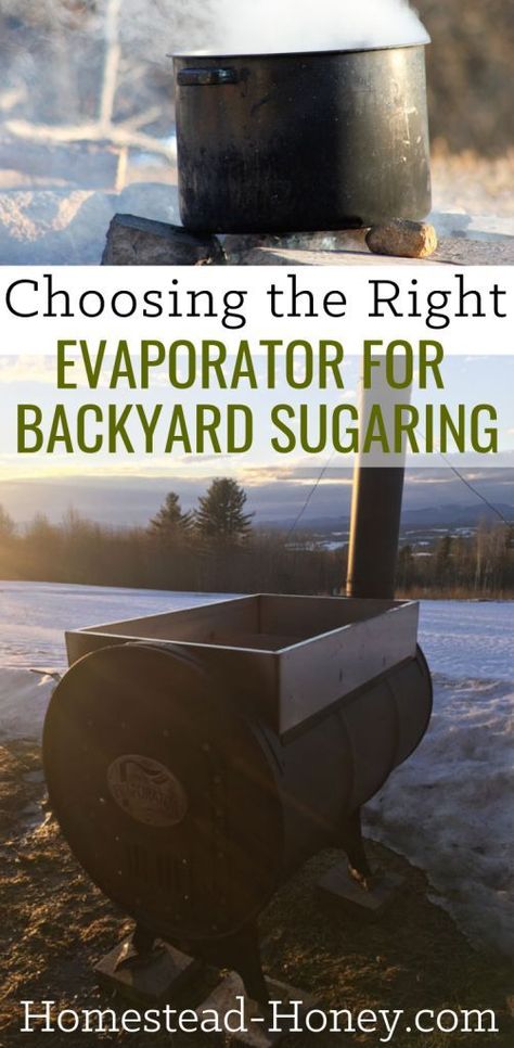 You want to make maple syrup, but if you're a homesteader new to sugaring, how do you evaporate gallons of sap effectively and efficiently? I will help you choose the right evaporator for backyard sugaring by sharing the pros and cons of a few methods that have worked for us, from DIY set ups, to investing in an evaporator that makes the job easier and more fun. #maplesyrup #backyardsugaring #foraging Maple Syrup Evaporator, Food Grade Buckets, Cats Videos, Homesteading Skills, Sugar Shack, Adorable Kittens, Wild Edibles, Backyard Farming, Diy Set