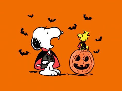 Snoopy And Woodstock Fall, Halloween Imagenes, Woodstock Halloween, Wallpaper Snoopy, Halloween Snoopy, Charlie Brown Halloween, Peanuts Halloween, Snoopy Halloween, Snoopy Images