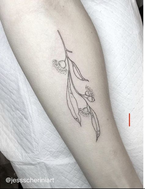 Fine Line Wattle Tattoo, Tattoo Australian Flowers, Eucalyptus Line Tattoo, Australian Native Plants Tattoo, Wattle Fine Line Tattoo, Australian Eucalyptus Tattoo, Australian Wattle Tattoo, Australian Fine Line Tattoo, Gumleaf Tattoo