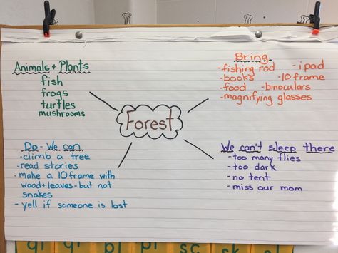 Today we brain stormed some ideas for our Forest trip. Brain Storming Ideas, Forest Trip, Arabic Worksheets, Cant Sleep, 10 Frame, Some Ideas, Dark Wood, Brain, Forest