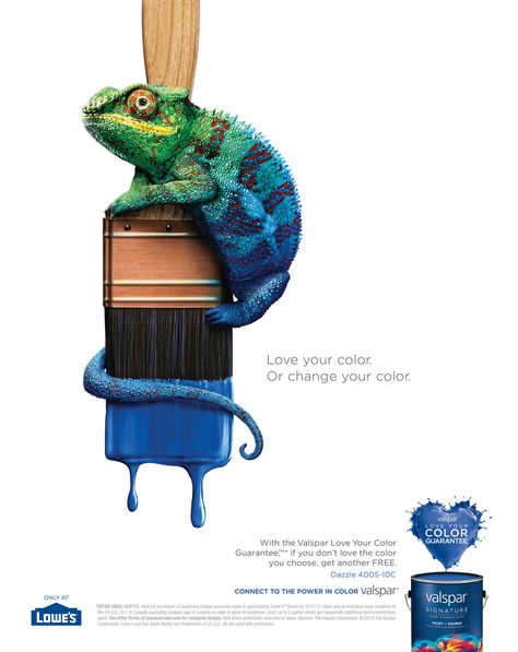 RANDAL FORD — Part of a series I shot for Valspar paint. These... Valspar Paint, Adobe Photoshop Design, Bel Art, Creative Advertising Design, Publicidad Creativa, Chameleons, Social Media Design Inspiration, Creative Poster Design, Graphics Inspiration