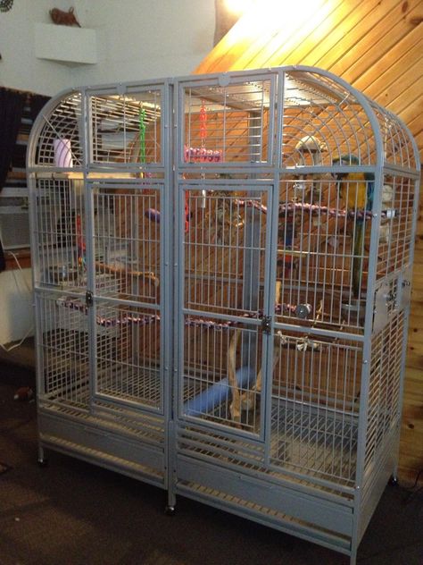 Macaw mansion idea for Bailey - HQ Double Macaw cage. Macaw Cage, Cockatiel Care, Bird Cages For Sale, Sugar Glider Cage, Pet Bird Cage, Large Bird Cages, Pet Spaces, Bird Aviary, Parrot Cage