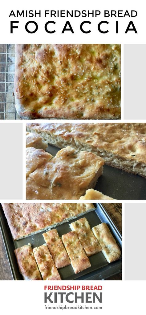 Pass the marinara! This Amish Friendship Bread Focaccia recipe with crushed garlic, rosemary, olive oil and coarse sea salt is easy and delicious. Amish Bread Starter Recipes, Bread Foccacia, Amish Starter, Bread Rosemary, Amish Bread Starter, Bread Starters, Amish Bread Recipes, Amish Friendship Bread Starter Recipes, Friendship Recipe